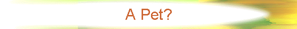 A Pet?