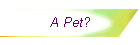 A Pet?