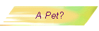 A Pet?